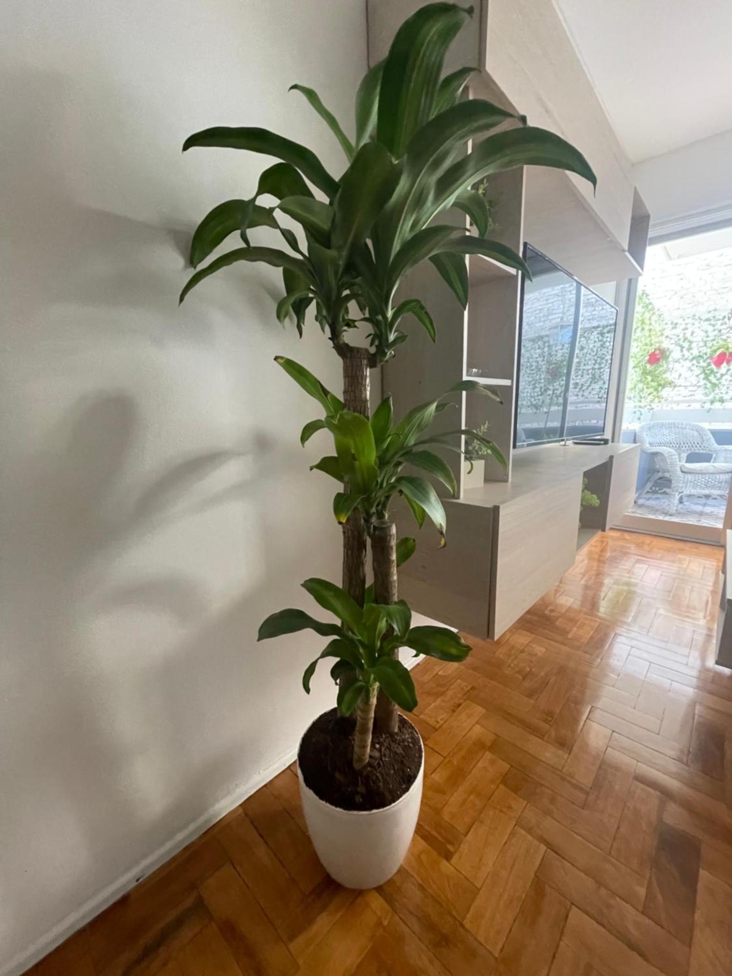 Departamento En Peatonal Mendoza Διαμέρισμα Εξωτερικό φωτογραφία